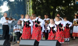 IMG_0545