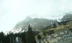 475.JPG