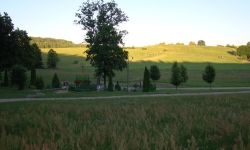 DSC09340