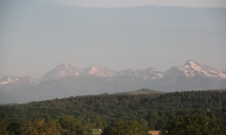 IMG_3265.JPG
