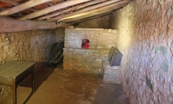 IMG_3789.JPG