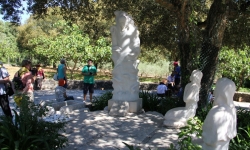 IMG_3812.JPG