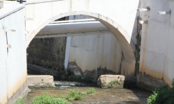 IMG_4046.JPG