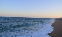 IMG_4247.JPG