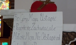 P1020206