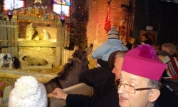 a_dsc02846