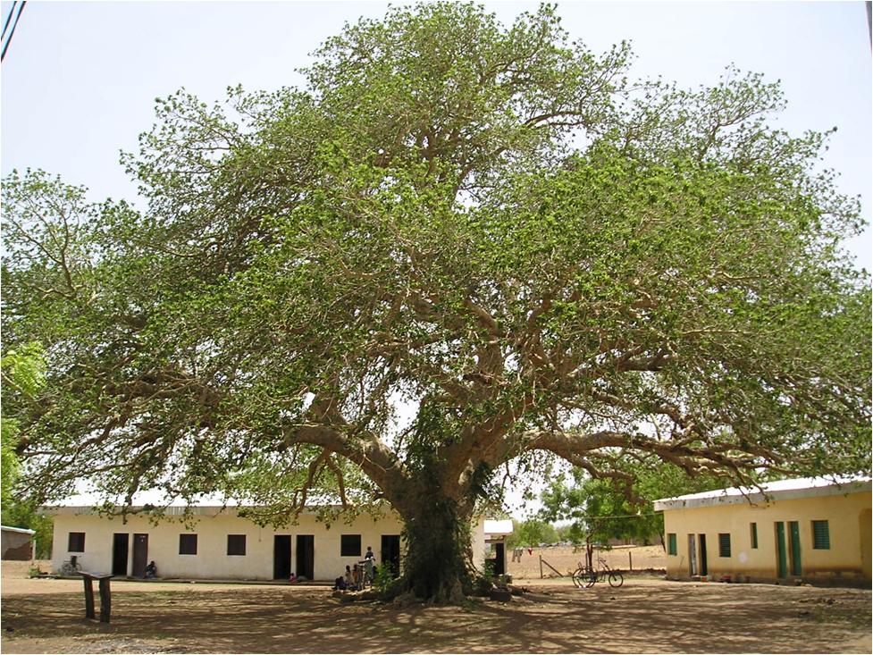Centrum „Betlejem” w Mouda (Kamerun)